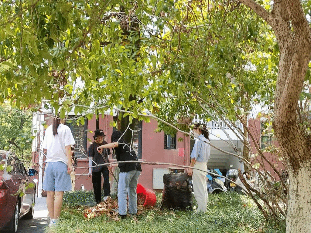 同学们在合力把落叶收拾进垃圾桶