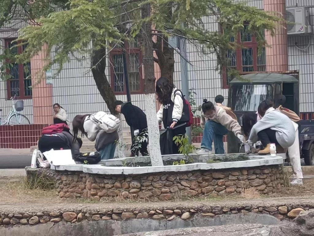 同学们在花坛周围拾白色垃圾