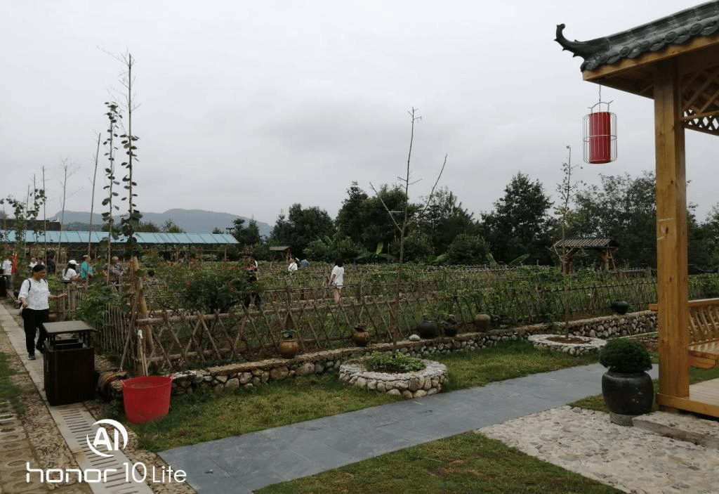 图二 蔬菜采摘园体验丰收之美