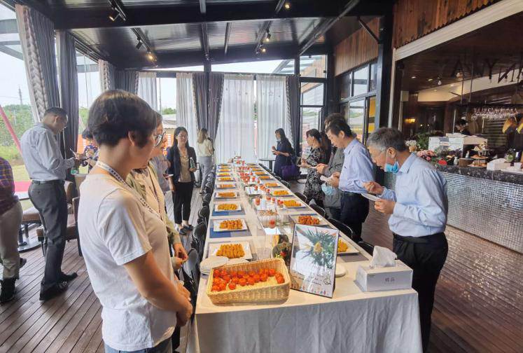 会议期间南瓜品鉴