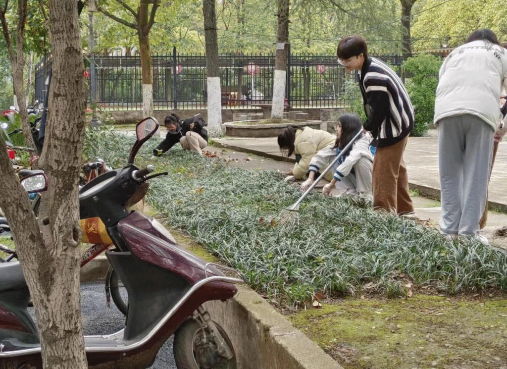 同学们在合力清扫落叶