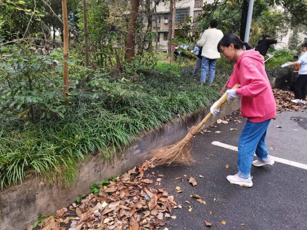 同学们在拾取垃圾