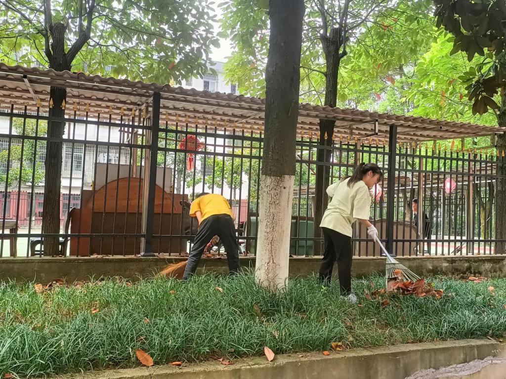 同学们在清扫落叶